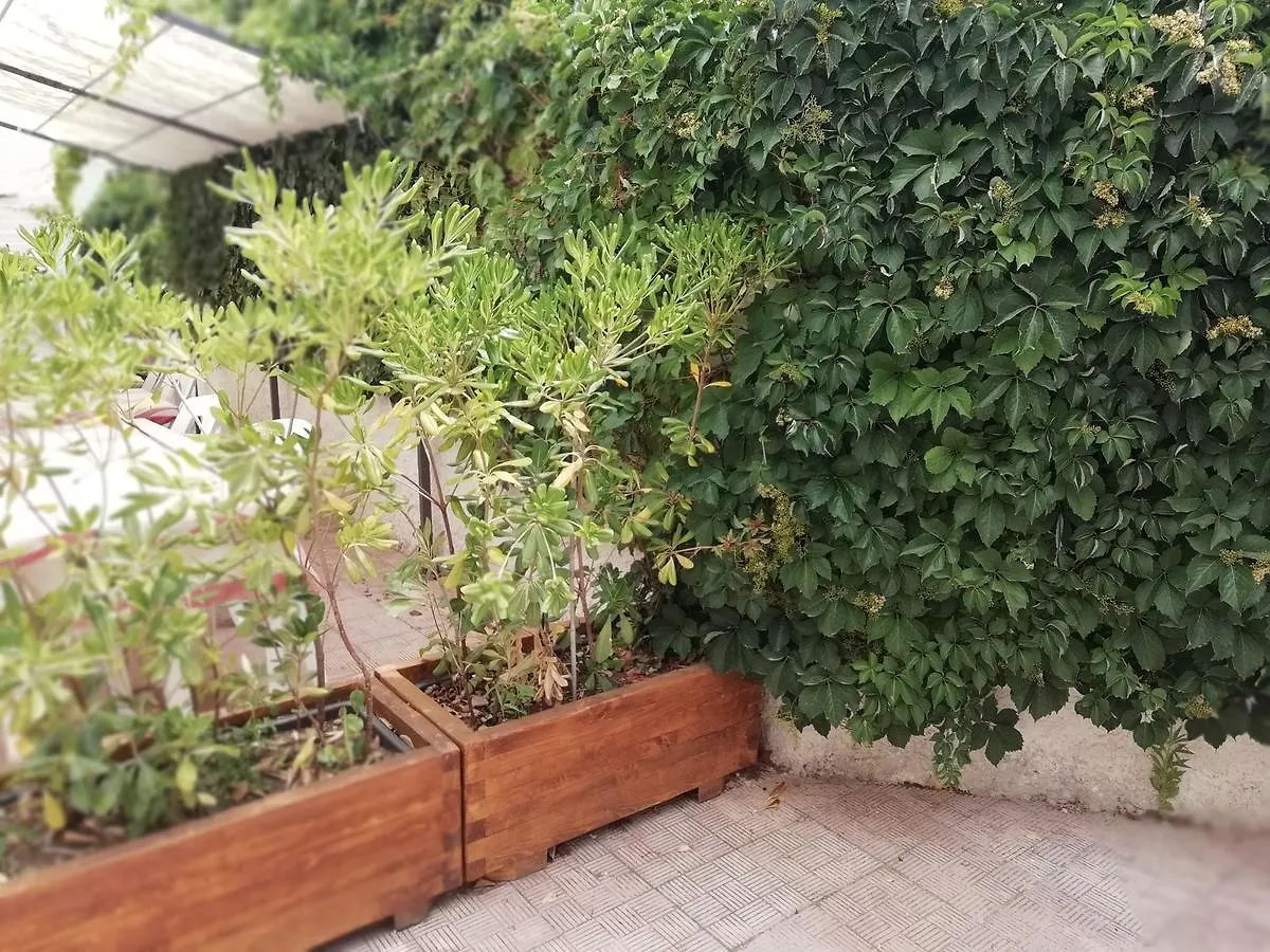 Hotel Noto Marina Stella Marina - B&B Lido di Noto Italy