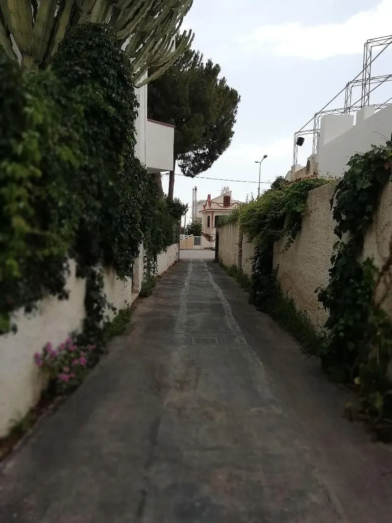 Hotel Noto Marina Stella Marina - B&B Maison d'hôtes Lido di Noto